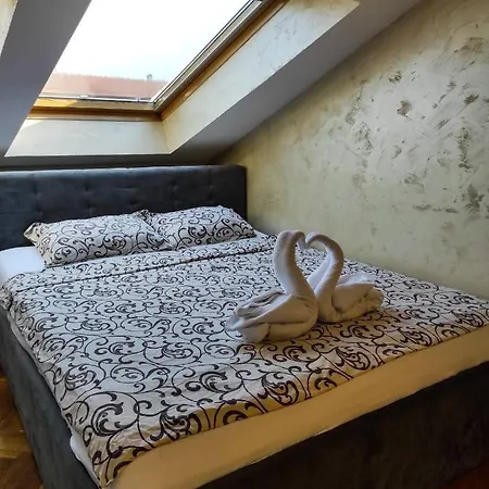 Jasmin Novi Sad